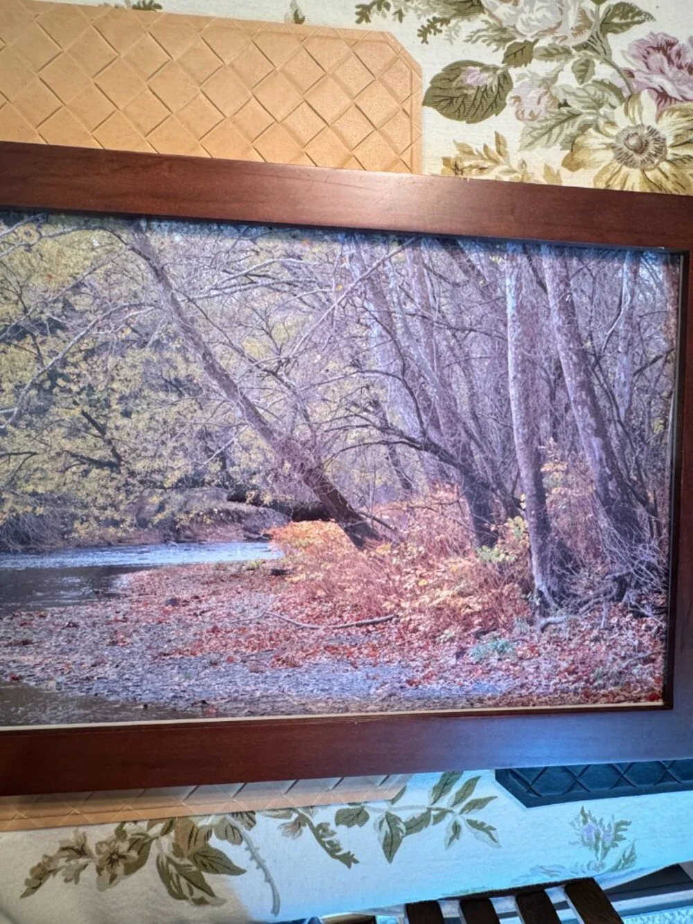 Colorful Fall Landscape Photograph Framed 19